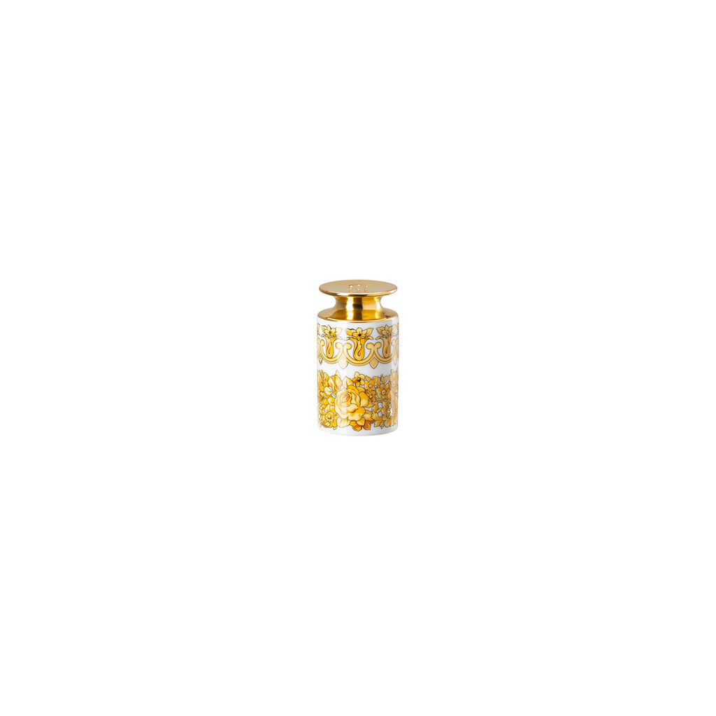 Salt Shaker Salt Shaker