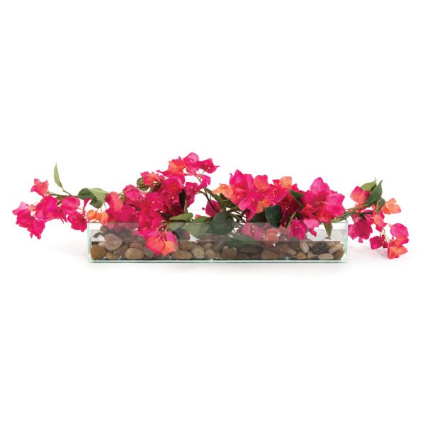 LUSH BOUGAINVILLEA